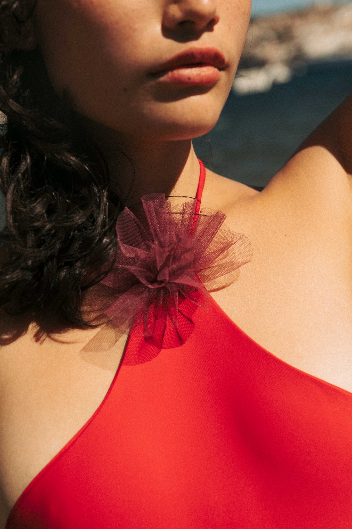 Luxury Red Wine Swimsuit by Besson Barcelona - Celine Collection