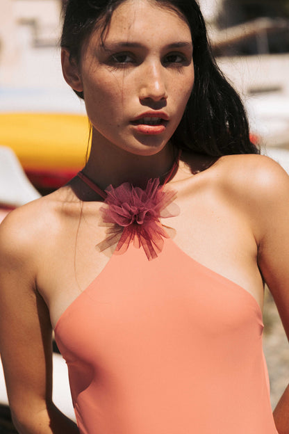 CELINE CORAL WINE
